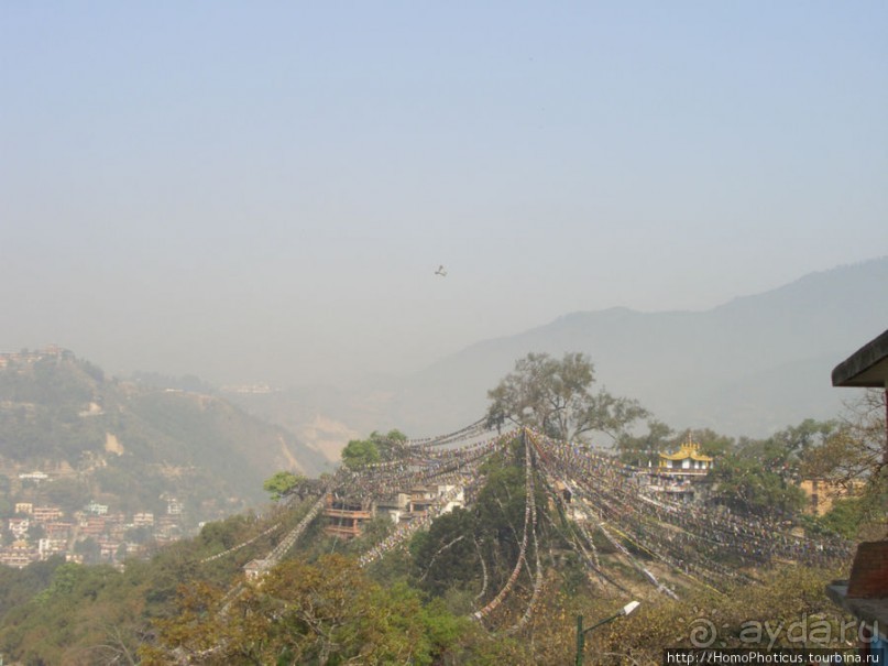 Десять миллионов богов