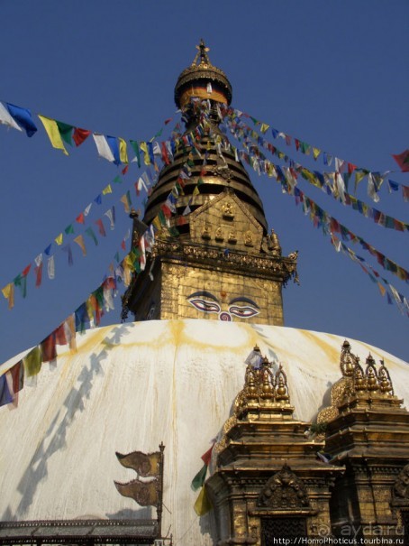 Десять миллионов богов