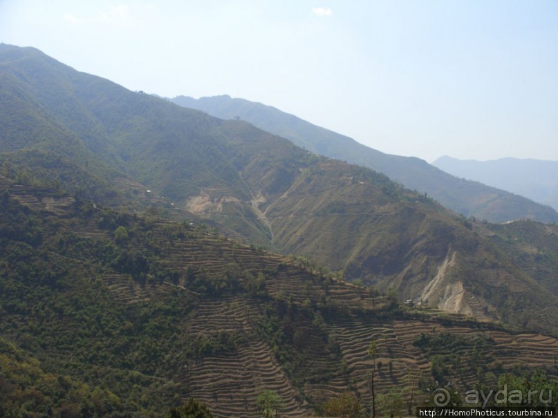 Десять миллионов богов