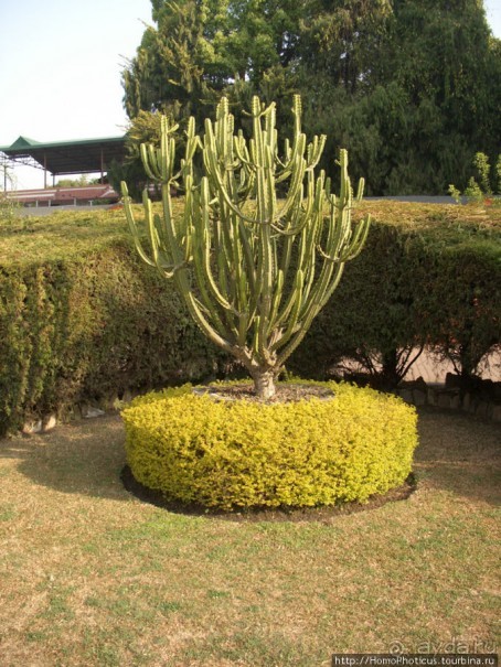 Десять миллионов богов