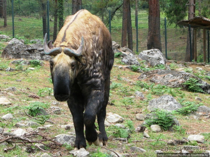 Страна Громового дракона. Часть II. Тхимпху: столица