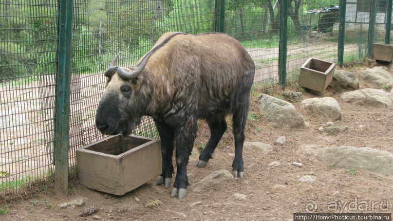 Страна Громового дракона. Часть II. Тхимпху: столица