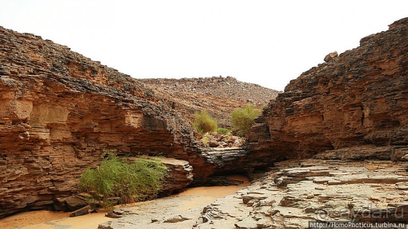 Релакс по-мавритански