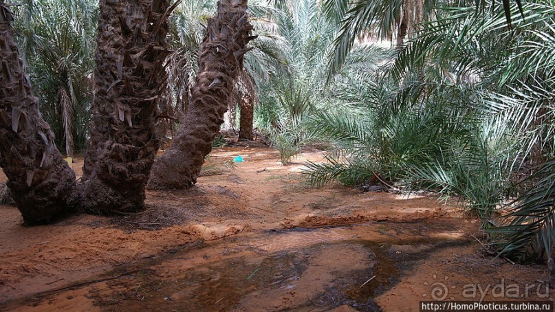 Релакс по-мавритански