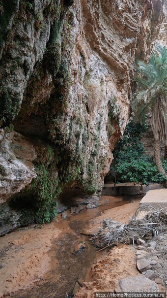 Релакс по-мавритански