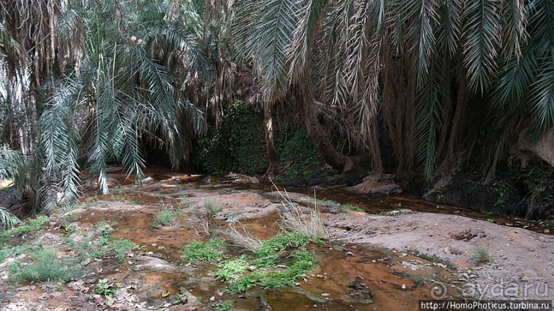 Релакс по-мавритански