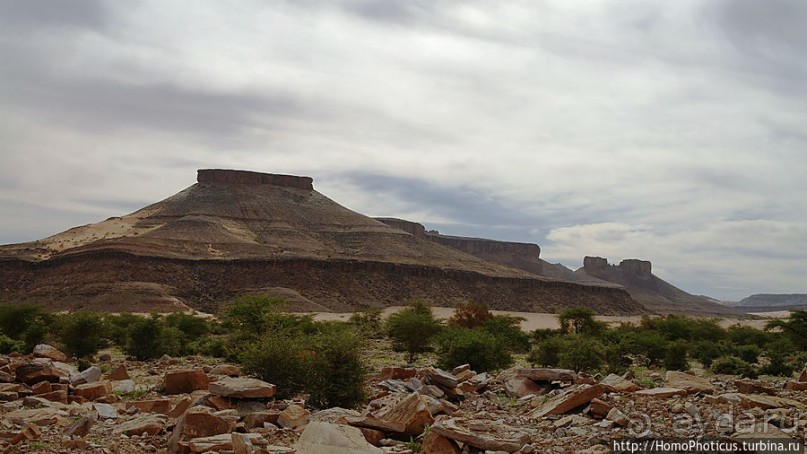 Релакс по-мавритански