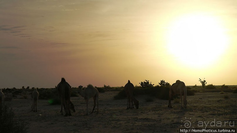 Релакс по-мавритански