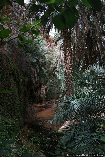 Релакс по-мавритански