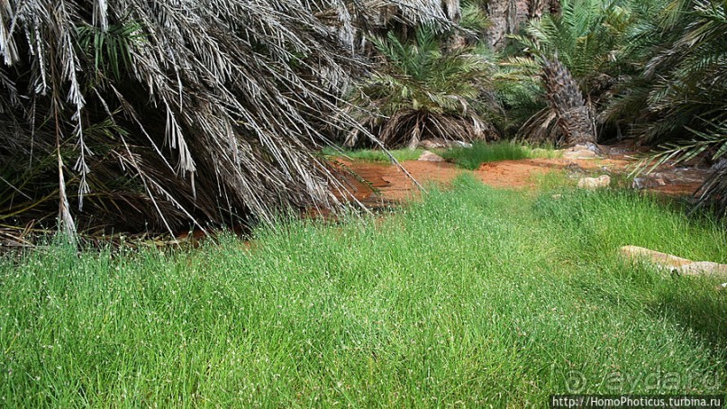 Релакс по-мавритански