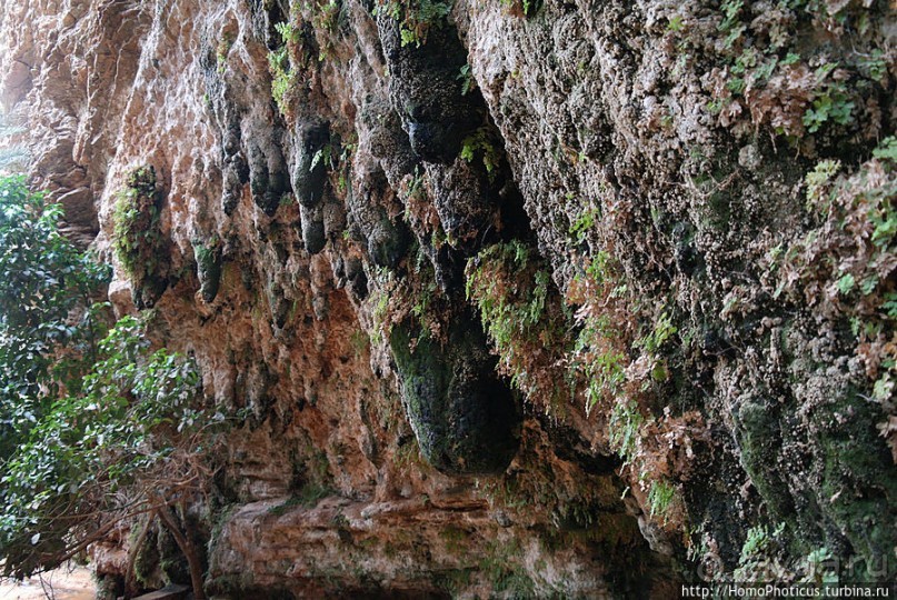 Релакс по-мавритански