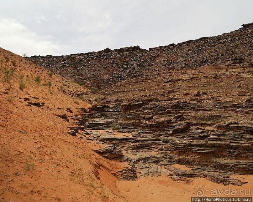 Релакс по-мавритански
