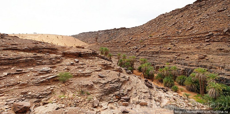 Релакс по-мавритански