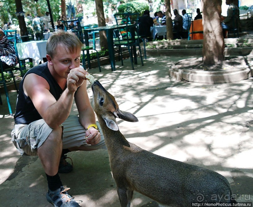 Сорок родников