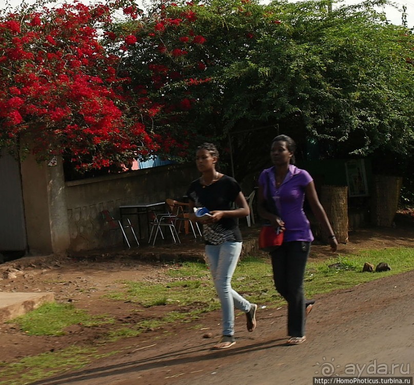 Сорок родников