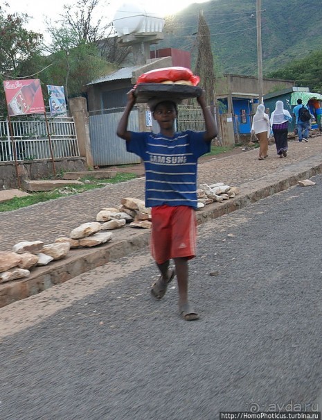 Сорок родников