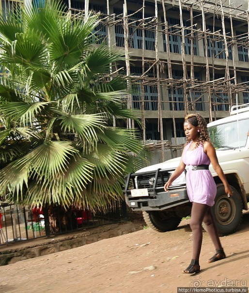 Сорок родников