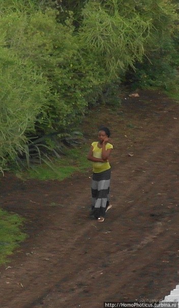 Сорок родников