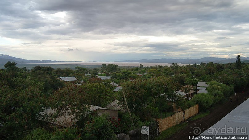 Сорок родников