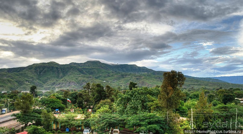 Сорок родников