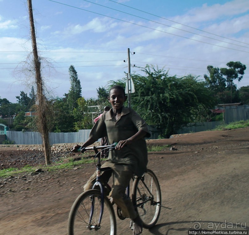Сорок родников