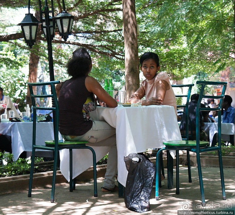 Сорок родников