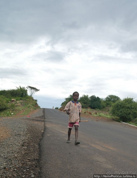 Сорок родников