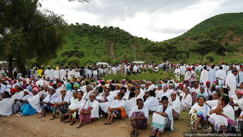 Сорок родников