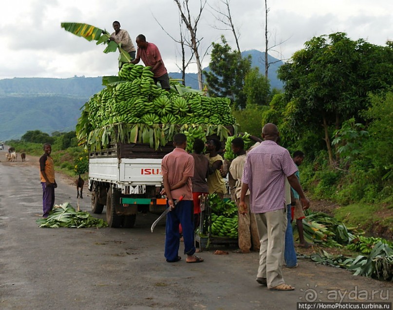 Сорок родников