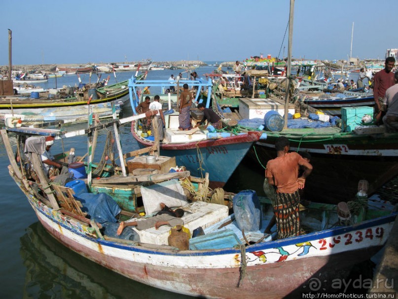 Город рыбы и закатов