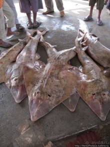 Город рыбы и закатов