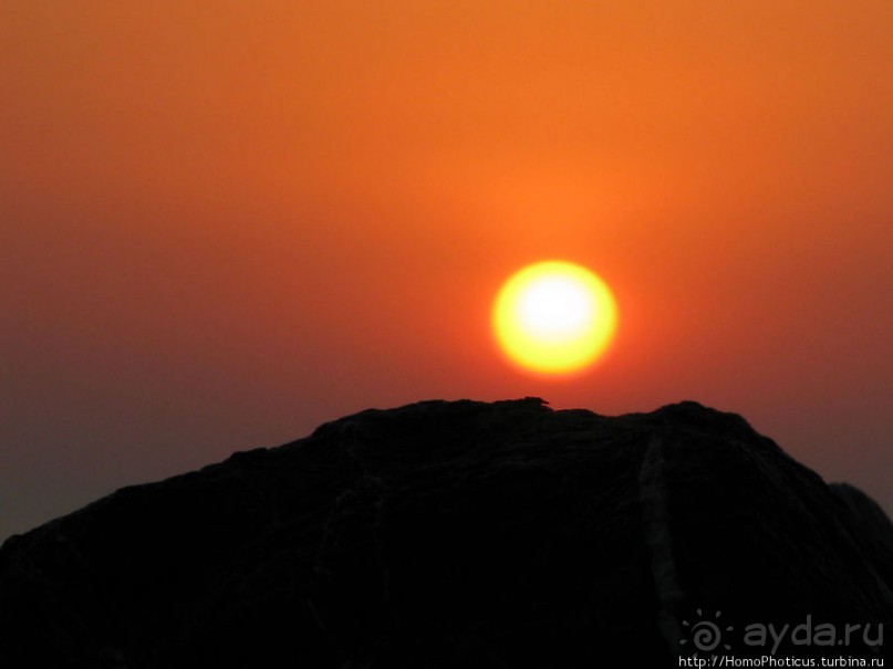 Город рыбы и закатов