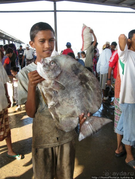 Город рыбы и закатов