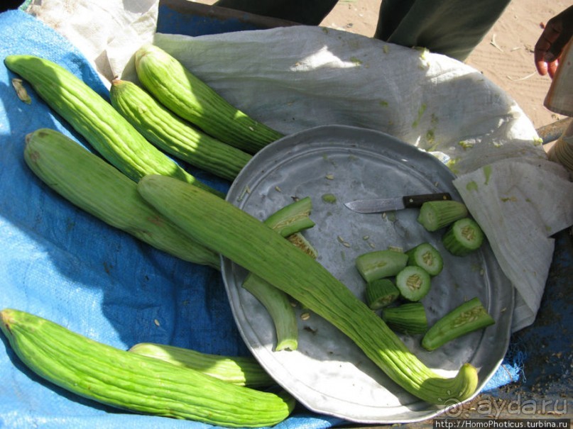 Город рыбы и закатов