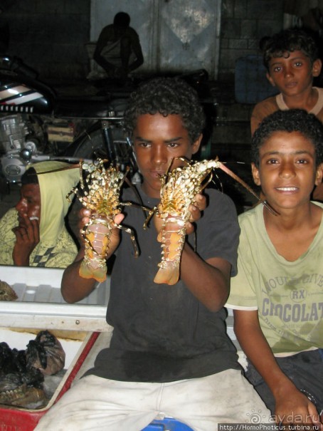 Город рыбы и закатов