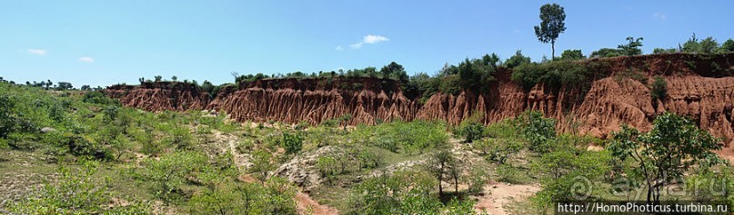 Альбом отзыва "Этнография долины Омо: земля бенна"