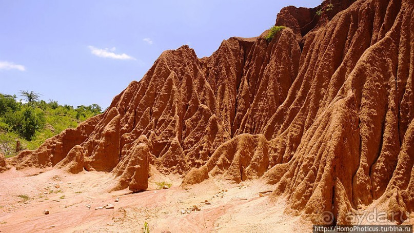 Альбом отзыва "Этнография долины Омо: земля бенна"