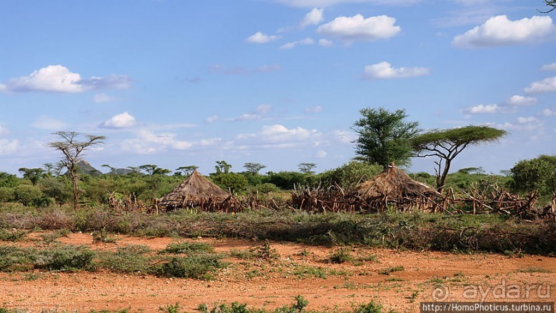 Альбом отзыва "Этнография долины Омо: земля бенна"