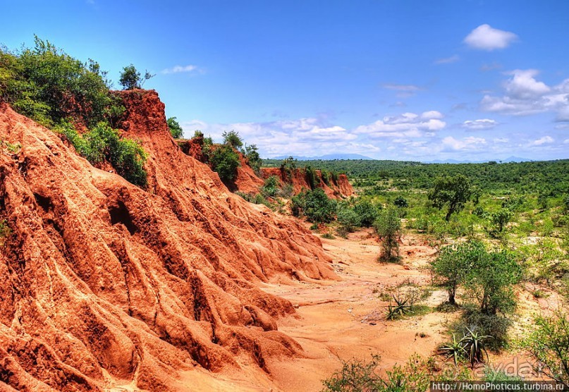 Этнография долины Омо: земля бенна