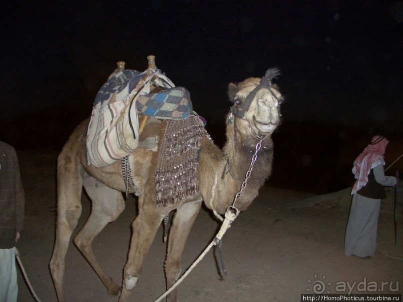 Самое-самое в Синае: Восход на Синае