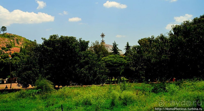 Суета вокруг Ковчега