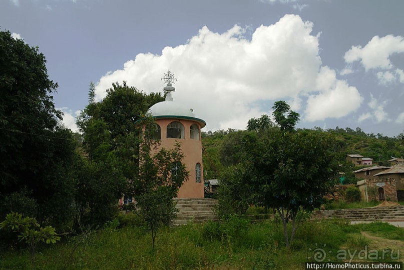 Суета вокруг Ковчега