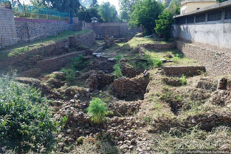 Суета вокруг Ковчега