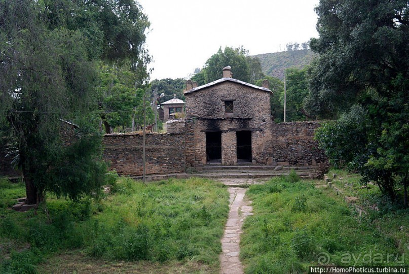 Суета вокруг Ковчега