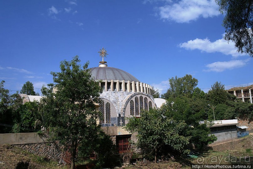 Суета вокруг Ковчега