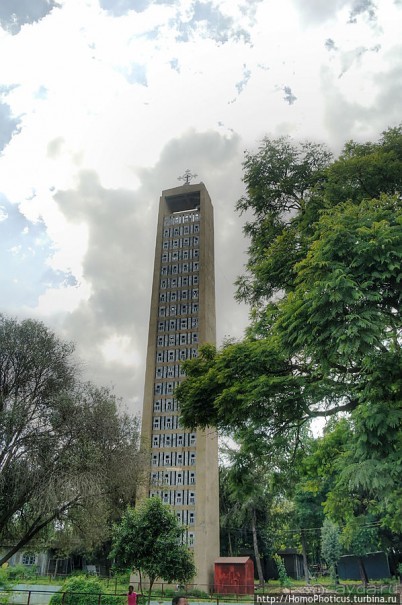 Суета вокруг Ковчега