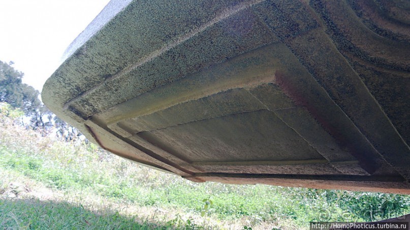 Суета вокруг Ковчега