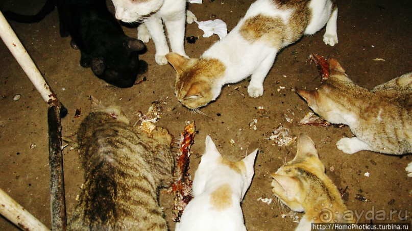 Город вне времени