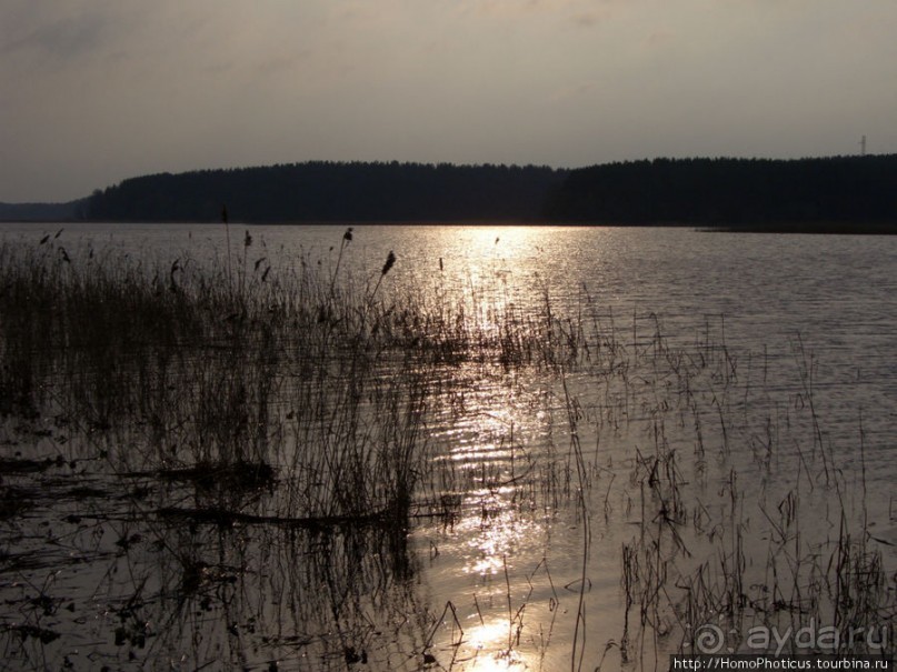 У Преподобного Нила