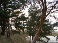 У Преподобного Нила